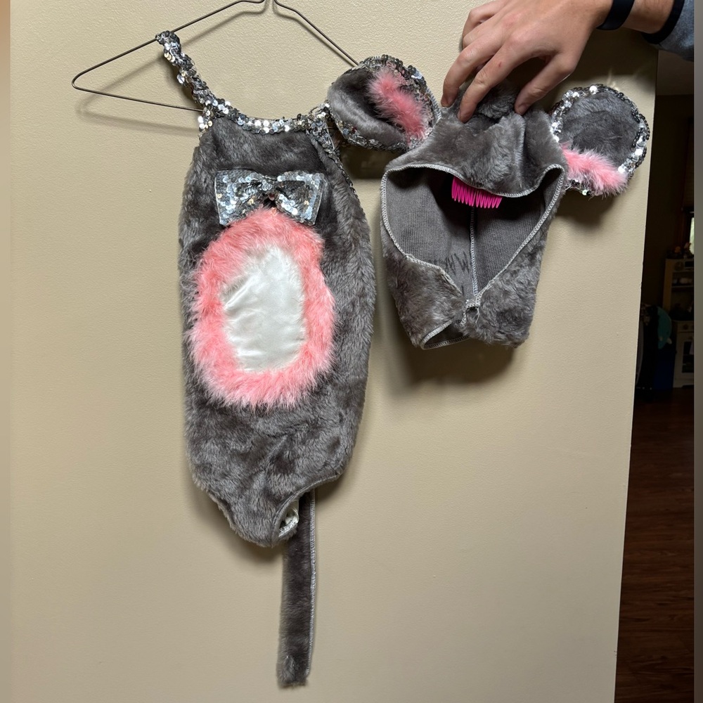 Girls mouse ballet / Halloween costume